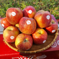 아삭 달콤 프리미엄 꿀당도 정품 엔비사과 1kg/3kg