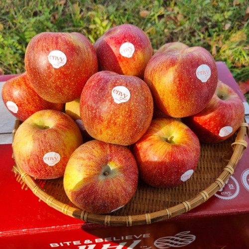 아삭 달콤 프리미엄 꿀당도 정품 엔비사과 1kg/3kg