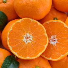 제주 고당도 노지 타이벡 감귤 4.5kg(M/L)