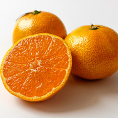 제주 고당도 노지 타이벡 감귤 4.5kg(M/L)