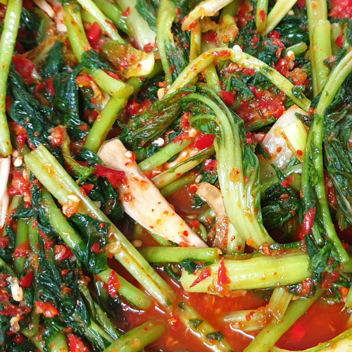 ★열무+단배추★ 짜박이 김치 1kg [원산지:국산]