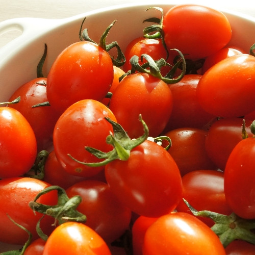 (팜)스테비아 방울토마토