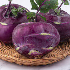 (팜)제주 콜라비 혼합과 2kg