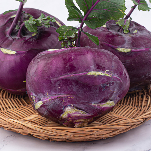 (팜)제주 콜라비 혼합과