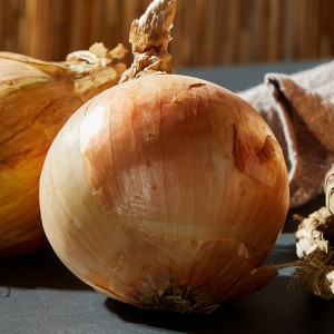 (팜)노지 햇양파 2~10kg (중/대/특)