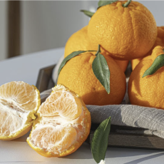 써니트 한라봉 2kg 혼합과