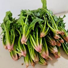 E) 남해 보물초 시금치 500g