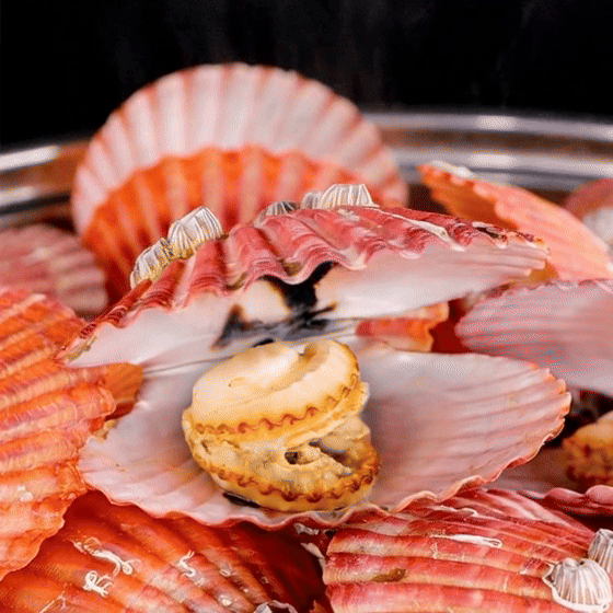 (팜)홍가리비 1kg