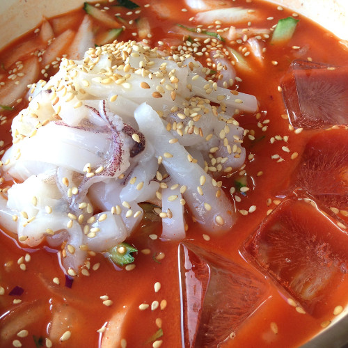 E) 갑오징어 물회 1팩 (오징어채 200g+육수 340g)