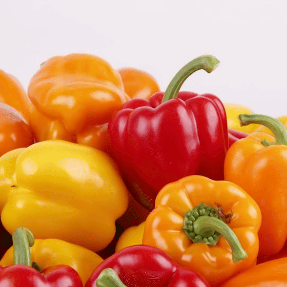 국내산 파프리카 1kg