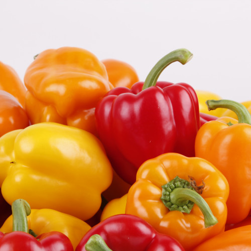 국내산 파프리카 1kg