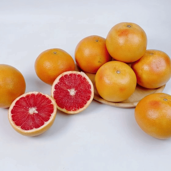 캘리포니아 자몽 소과(5개)