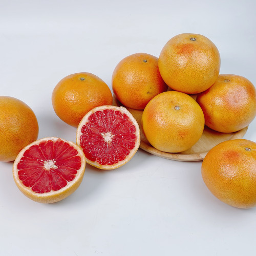 캘리포니아 자몽 소과(5개)