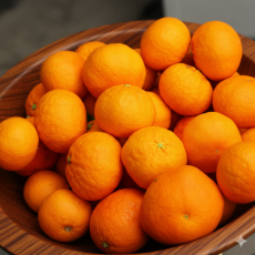 레드향 선물세트 1.5kg 9과내외