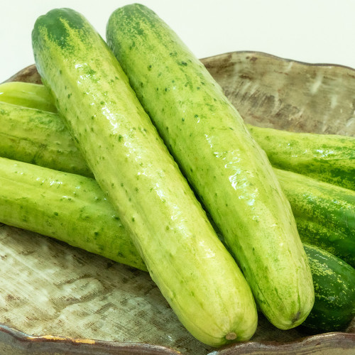 팜) 아삭한 백다다기 오이 1kg