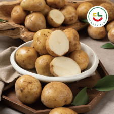 스테비아 감자 1.6kg