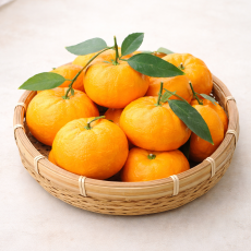 고당도 햇 윈터프린스 중과/대과 3kg