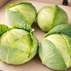 제주 양배추 3kg/5kg