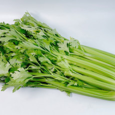 샐러리 1kg/2kg/3kg