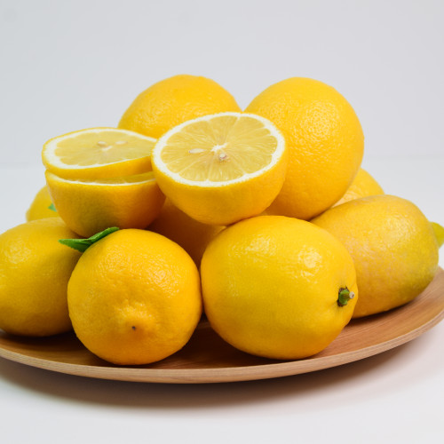 레몬 (소과/대과) 10개