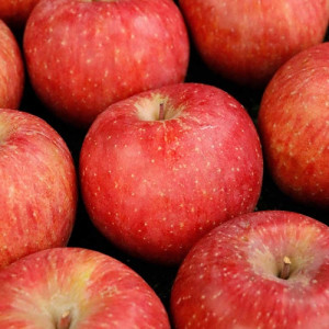 팜) 가정용 A급 햇부사 4kg (꼬마과/소과/중과)