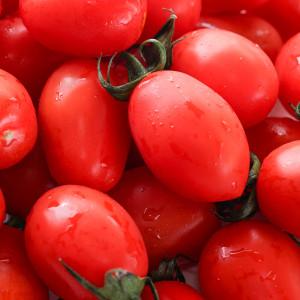 팜) 대추방울토마토 1kg/2kg/5kg (중과)