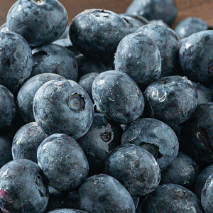 팜) 블루베리 125g (2팩/3팩/4팩)