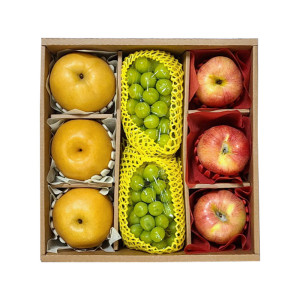 E) [설선물세트] 알찬 실속 세트