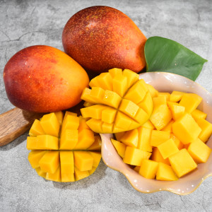 황금빛과육 애플망고 1kg~4kg