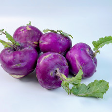 제주 콜라비 1kg~10kg (혼합과)