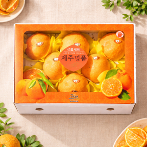 E) 레드향 명절선물세트 3kg/5kg/10kg