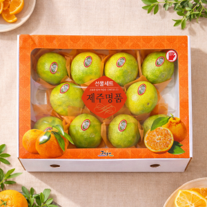 E) 천혜향 명절선물세트 3kg/5kg/10kg