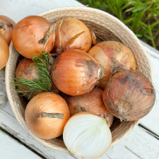 E) 국내산 양파 (중소혼합) 1kg~5kg