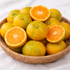 팜) 제주 조생귤 4.5kg