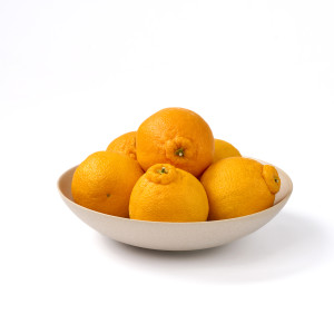 제주 하우스 한라봉 1kg/2kg/3kg